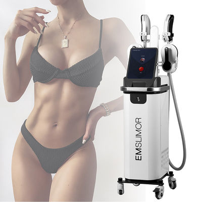 4 Handles RF EMS Body Sculpting Machine Muscle Building 3000W High Power